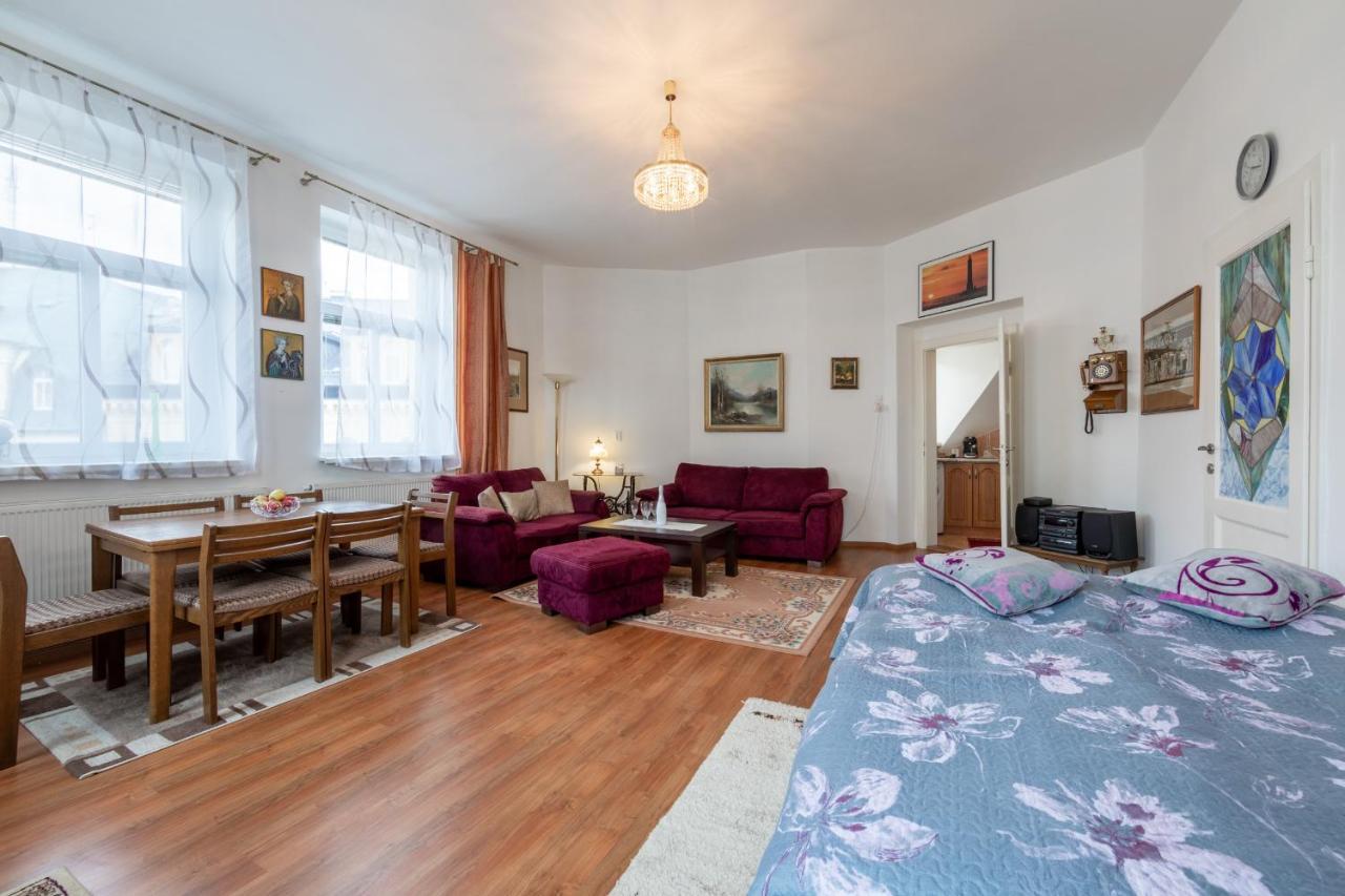 Apartment Kleopatra 卡罗维发利 外观 照片